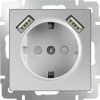 Werkel WL06-SKGS-USBx2-IP20