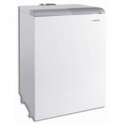 Напольный газовый  котел Protherm Медведь 50TLO