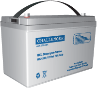 Аккумуляторная батарея Challenger G12-65