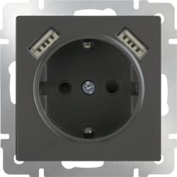 Werkel WL07-SKGS-USBx2-IP20